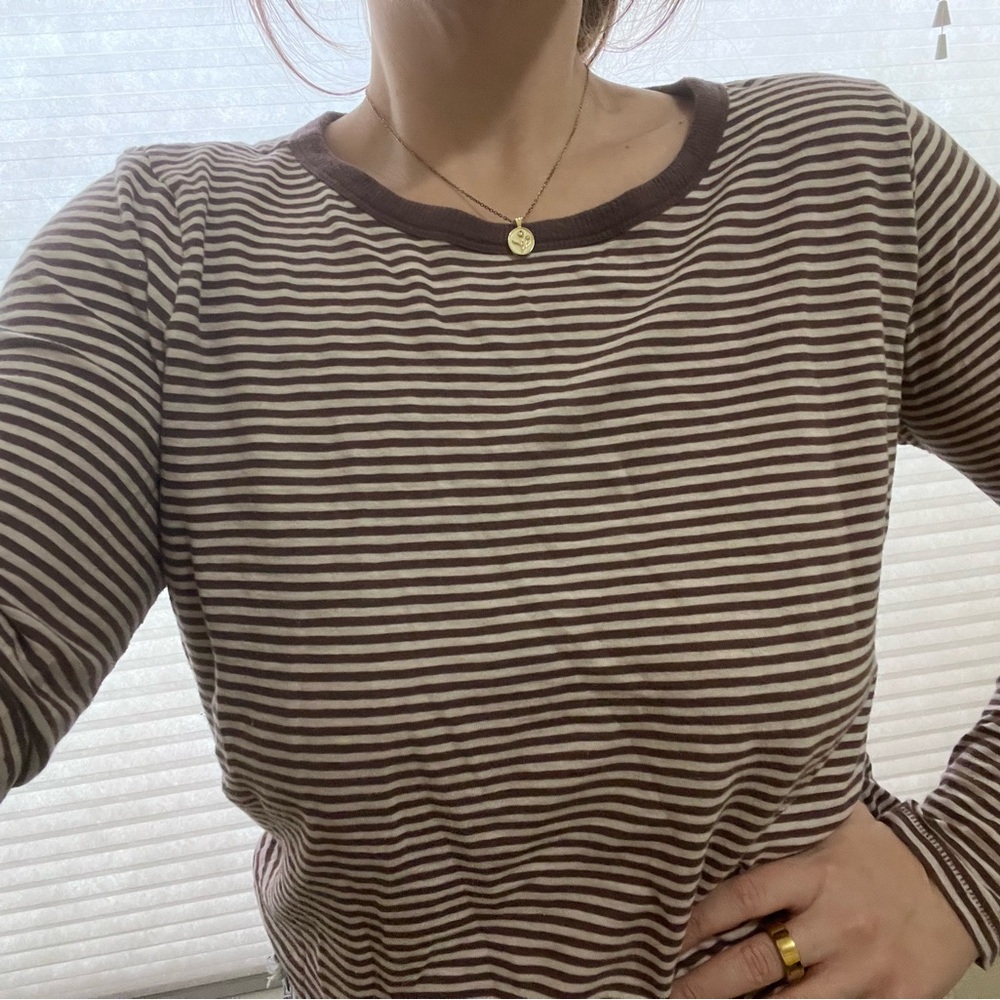 Madewell Chocolate and Cream Striped Long Sleeve Tee